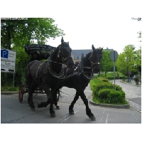 Goslar-Actionfoto24.de-002.jpg