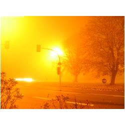 Nebel-Extrem-Actionfoto24.de-027.jpg