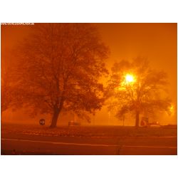 Nebel-Extrem-Actionfoto24.de-028.jpg